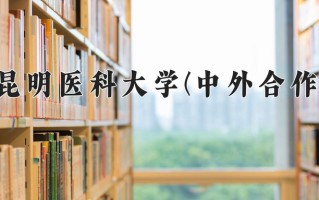 2025年昆明医科大学(中外合作)在重庆计划招生人数（附学费及专业录取分)