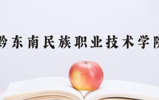 2025年黔东南民族职业技术学院在河北计划招生人数（附学费及专业录取分)