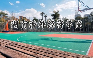 2024湖南涉外经济学院录取分数线：宁夏最低386分