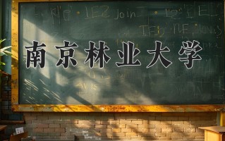 2024年南京林业大学录取分数线，宁夏最低456分