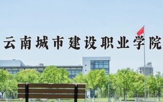 2025年云南城市建设职业学院在河南计划招生人数（附学费及专业录取分)