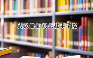 武汉船舶职业技术学院2024在内蒙古录取分数线是多少？最低220分/最高343分
