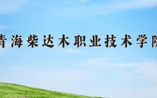 2025年青海柴达木职业技术学院在新疆计划招生人数（附学费及专业录取分)