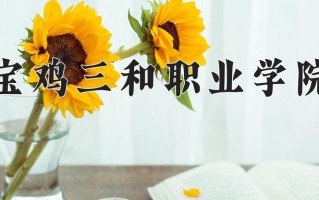 2025年宝鸡三和职业学院在四川计划招生人数（附学费及专业录取分)