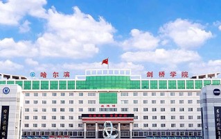 2024年哈尔滨剑桥学院录取分数线，河北最低448分