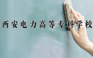 2024年西安电力高等专科学校录取分数线，宁夏最低390分