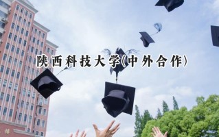 2024陕西科技大学(中外合作)录取分数线：山西最低524分