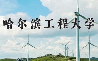 2025年哈尔滨工程大学在新疆计划招生人数（附学费及专业录取分)