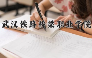 2025年武汉铁路桥梁职业学院在河南计划招生人数（附学费及专业录取分)
