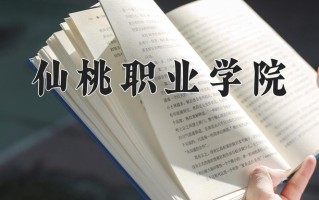 2025年仙桃职业学院在新疆计划招生人数（附学费及专业录取分)