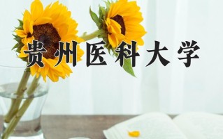 2024年贵州医科大学录取分数线，宁夏最低450分