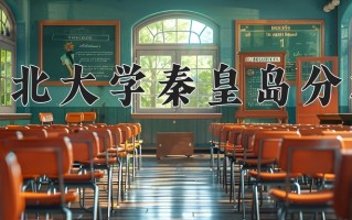 2025年东北大学秦皇岛分校在四川计划招生人数（附学费及专业录取分)