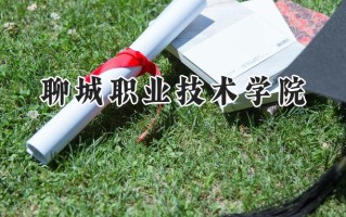 聊城职业技术学院2024在内蒙古录取分数线是多少？最低227分/最高360分