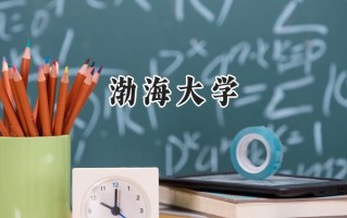 渤海大学2024在福建录取分数线是多少？最低491分/最高547分