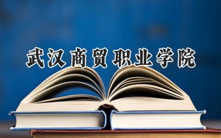 2024武汉商贸职业学院录取分数线：江苏最低284分