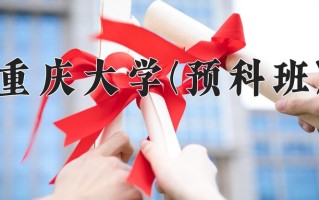 2025年重庆大学(预科班)在重庆计划招生人数（附学费及专业录取分)