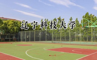 2024辽宁科技大学录取分数线：陕西最低446分