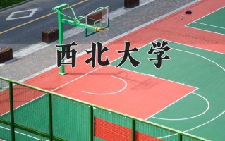 2025年西北大学在四川计划招生人数（附学费及专业录取分)