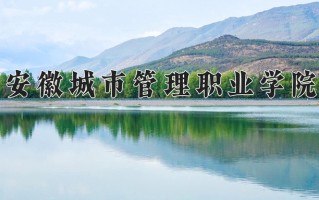 2025年安徽城市管理职业学院在河南计划招生人数（附学费及专业录取分)