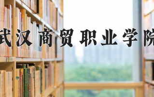 2025年武汉商贸职业学院在新疆计划招生人数（附学费及专业录取分)