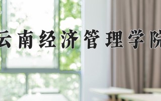 2025年云南经济管理学院在四川计划招生人数（附学费及专业录取分)