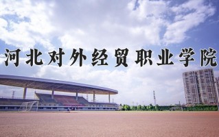 2025年河北对外经贸职业学院在四川计划招生人数（附学费及专业录取分)