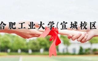 2024年合肥工业大学(宣城校区)录取分数线，宁夏最低432分