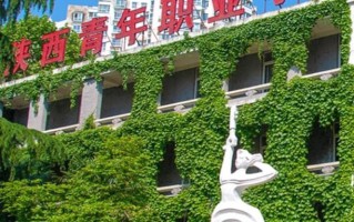 2024年陕西青年职业学院录取分数线，河北最低393分