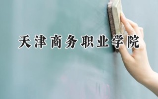 2024天津商务职业学院录取分数线：宁夏最低320分