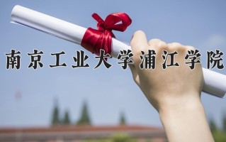 2025年南京工业大学浦江学院在河南计划招生人数（附学费及专业录取分)