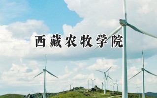 2024西藏农牧学院录取分数线：山西最低438分