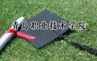 青岛职业技术学院2024在山东录取分数线是多少？最低302分/最高487分