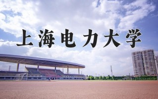 2025年上海电力大学在河南计划招生人数（附学费及专业录取分)