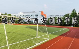 2025年延安大学西安创新学院在河南计划招生人数（附学费及专业录取分)