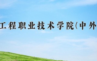 2025年重庆工程职业技术学院(中外合作)在重庆计划招生人数（附学费及专业录取分)