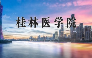 2025年桂林医学院在四川计划招生人数（附学费及专业录取分)