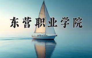 2025年东营职业学院在四川计划招生人数（附学费及专业录取分)