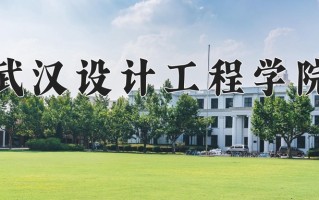 2025年武汉设计工程学院在河南计划招生人数（附学费及专业录取分)