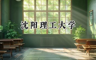 沈阳理工大学2024在上海录取分数线是多少？最低436分/最高455分