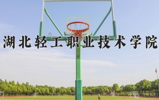 2025年湖北轻工职业技术学院在四川计划招生人数（附学费及专业录取分)