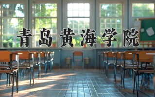 2025年青岛黄海学院在四川计划招生人数（附学费及专业录取分)