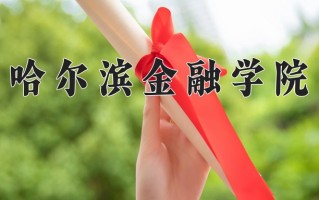 2025年哈尔滨金融学院在新疆计划招生人数（附学费及专业录取分)