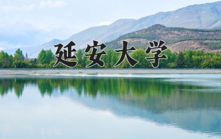 2025年延安大学在河南计划招生人数（附学费及专业录取分)