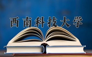 2025年西南科技大学在新疆计划招生人数（附学费及专业录取分)