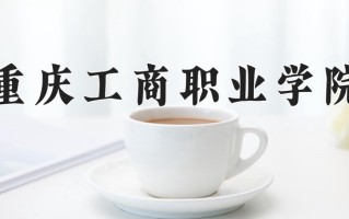 2025年重庆工商职业学院在河南计划招生人数（附学费及专业录取分)