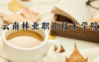 2024年云南林业职业技术学院录取分数线，河北最低312分
