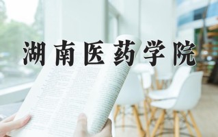2025年湖南医药学院在四川计划招生人数（附学费及专业录取分)