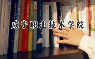 2024咸宁职业技术学院录取分数线：江苏最低238分
