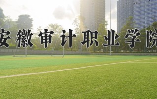 2025年安徽审计职业学院在四川计划招生人数（附学费及专业录取分)