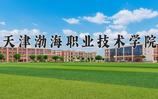 2025年天津渤海职业技术学院在河南计划招生人数（附学费及专业录取分)